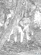 fil Bosib Chiqarish Uchun Bo'yash Sahifalari